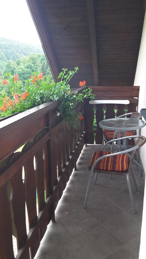 Apartmany - Privat Pacholik Rokytnice nad Jizerou Buitenkant foto