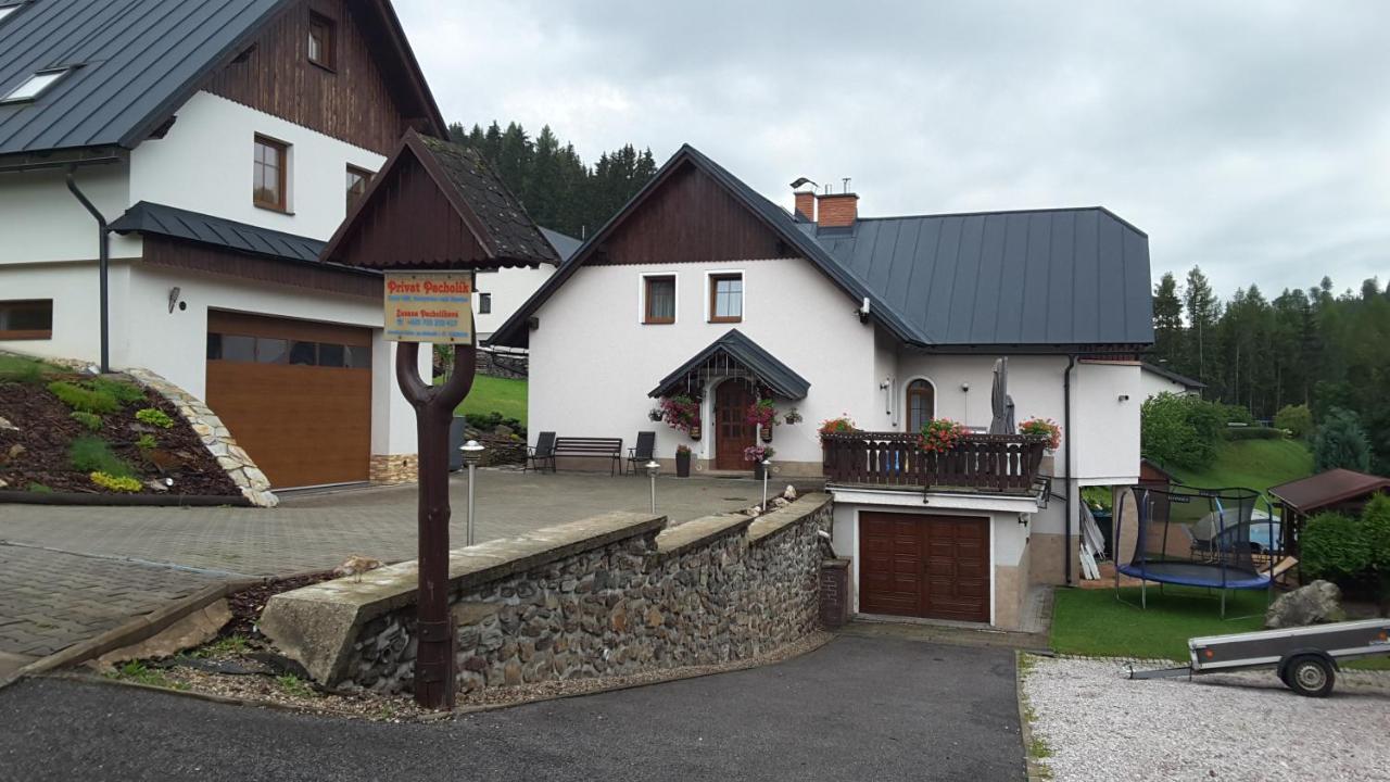Apartmany - Privat Pacholik Rokytnice nad Jizerou Buitenkant foto